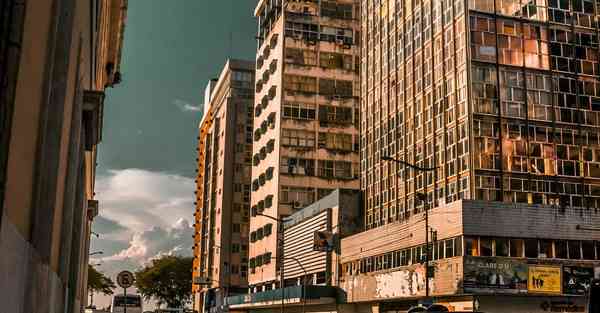 制作毛核老虎宣传片