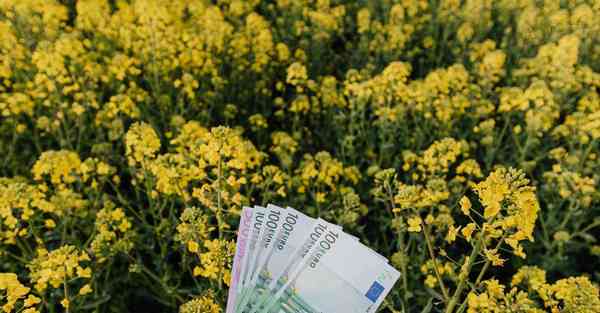 参展企业宣传片制作