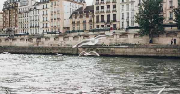 产品宣传片制作方案_产品宣传片制作拍摄