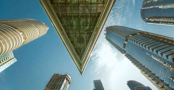 制作毛核老虎宣传片